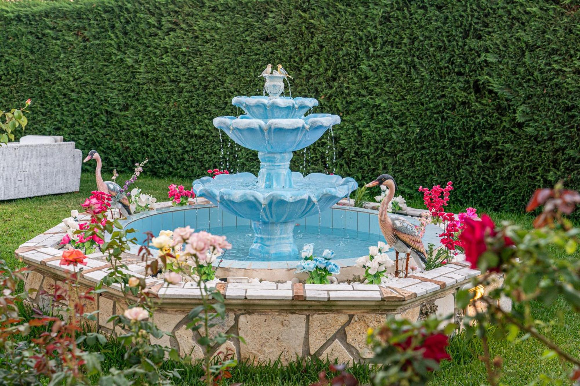 Villa Alonia Skala  Dış mekan fotoğraf